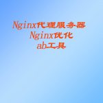 Nginx代理服务器 、 Nginx优化、ab工具